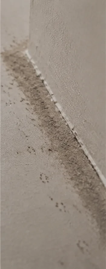 Schmaler Laufweg entlang einer Wand- und Bodenkante